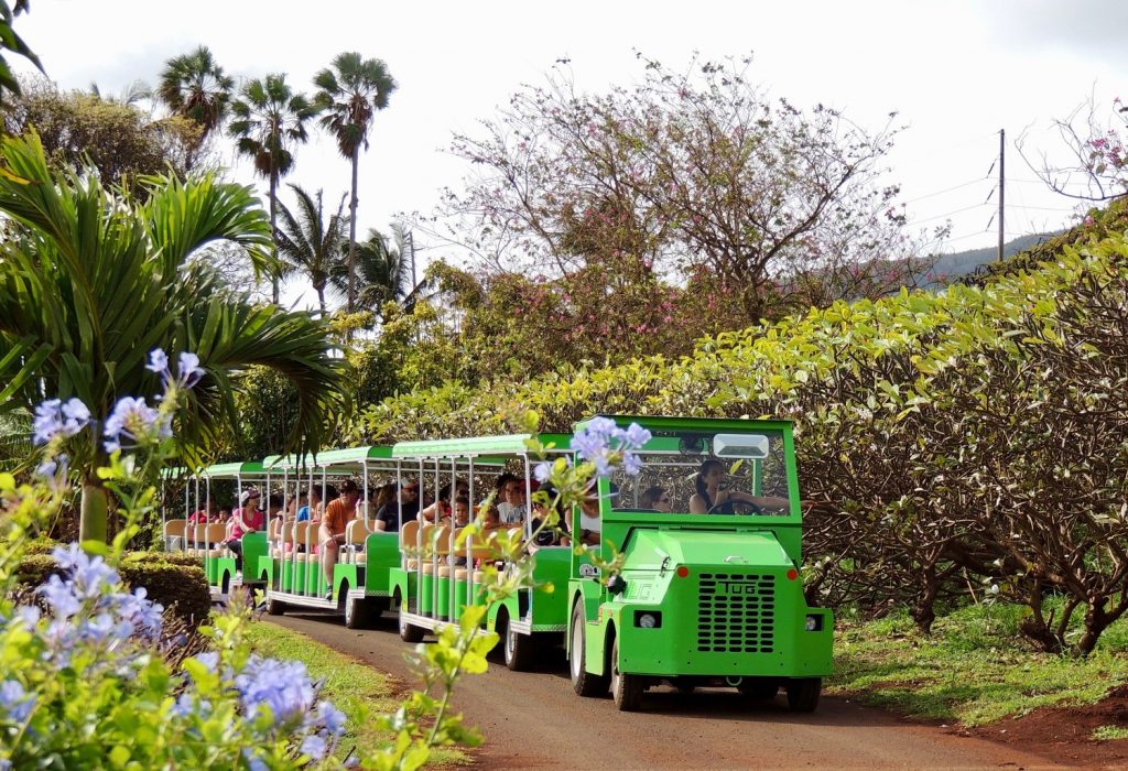 Maui Tropical Plantation in Hawaii