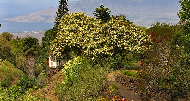 kula botanical gardens in hawaii