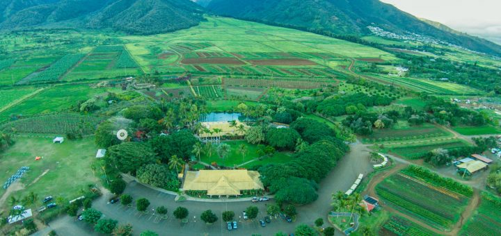 Maui Tropical Plantation in Hawaii
