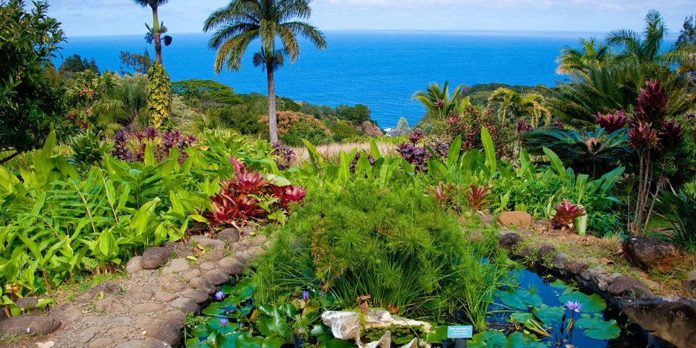 kula botanical gardens in hawaii